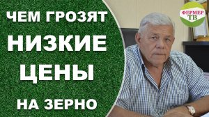 Чем грозят низкие цены на зерно