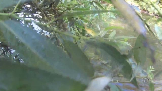 Ловим щуку на джиг на р.Красивая меча смотреть онлайн