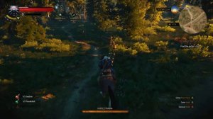 Inzainia Plays: Witcher 3 Ep 31 (To Save A Goat)