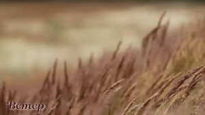 Явления природы. Презентация по окружающему миру.