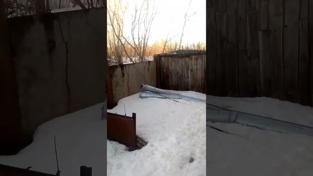 Домашний зоопарк смотреть онлайн