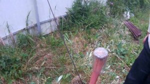 УКРЕПЛЕНИЕ ЗАБОРА ИЗ ПРОФНАСТИЛА ОТ ВЕТРА