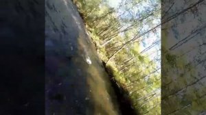 Горная р.Хар, Нанайский Район, Хабаровский край.