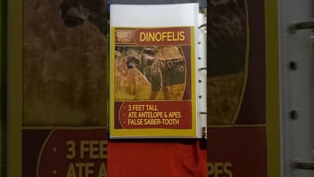 Prehistoric Planet (Season 2) - Dinofelis Profile