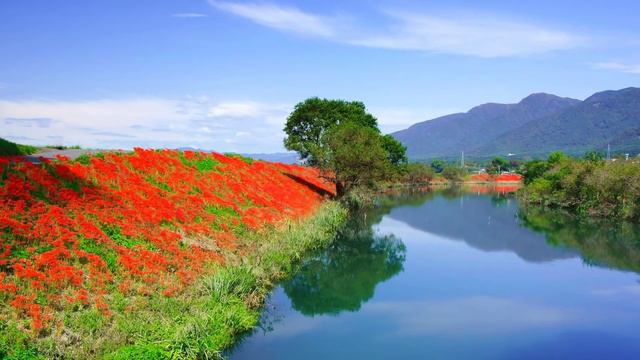 Супер - Бетховен в современной обработке  #ПопулярноенаЮТУБе