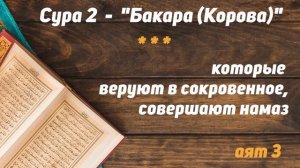 Сура АЛЬ БАКАРА 1-5 с переводом /Первые 5 аятов/Аяты с переводом из суры Аль Бакара/ Сальман Ар Рус