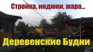 Деревенские Будни // Стройка, Цветы, Индюки, Жара, Рыжая