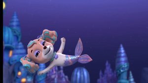 песня аква щенков. Корал