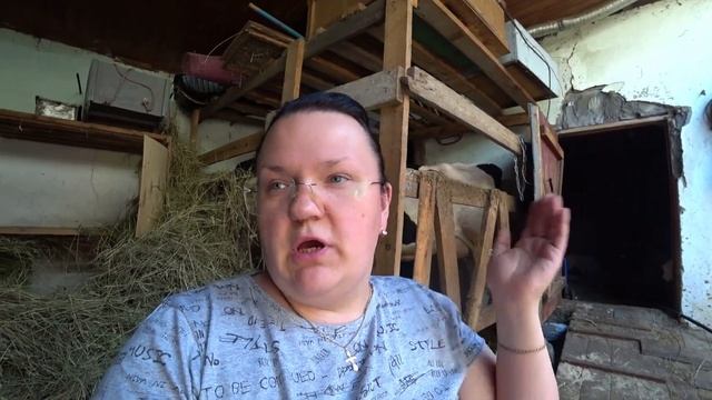 Расширили дверной проем. Крюк для сена. Вопросы по корове. Какой забор ставить между соседями? смотреть онлайн