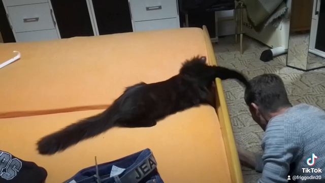 Ас! Просто Ас!😎🤩🥰🥰🥰🥰 смотреть онлайн