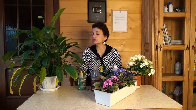 Защита цветущих комнатных растений. Биопрепарат "Трихоплант"