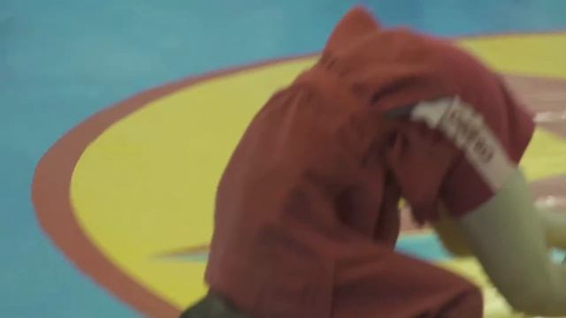 Школа №141 в рамках проекта «Самбо в школу». Демонстрация смотреть онлайн