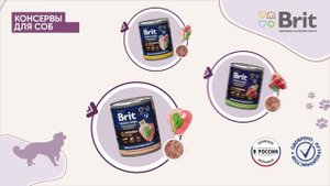 Сухие и влажные корма для кошек и собак Brit