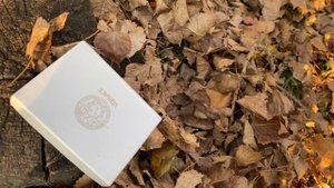 ЧТО МЫ НАШЛИ? Влог с Лили целый день!