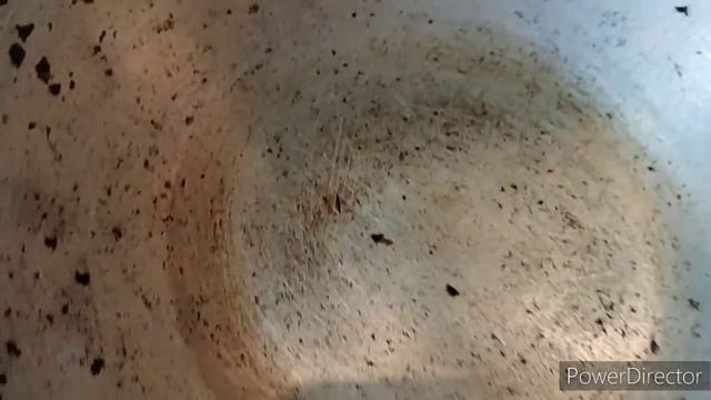 Славянск.30.07.23. Самый воскресный день. смотреть онлайн