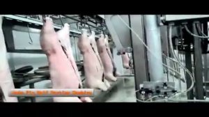 Машина для разделки свиней на полутуши