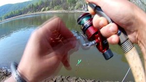 Юмагузино. Крупный лещ на фидер