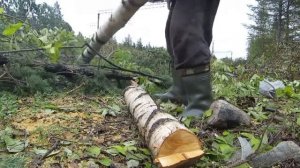Бензопила CARVER   в действии