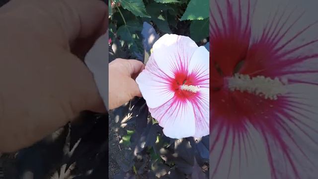 9 августа 2022 г. смотреть онлайн