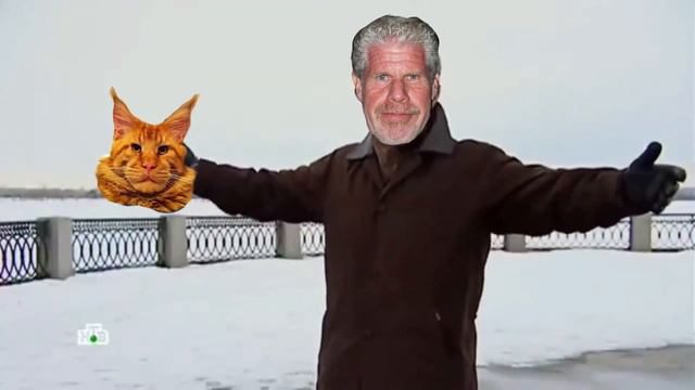 Рон Перлман и кiт смотреть онлайн