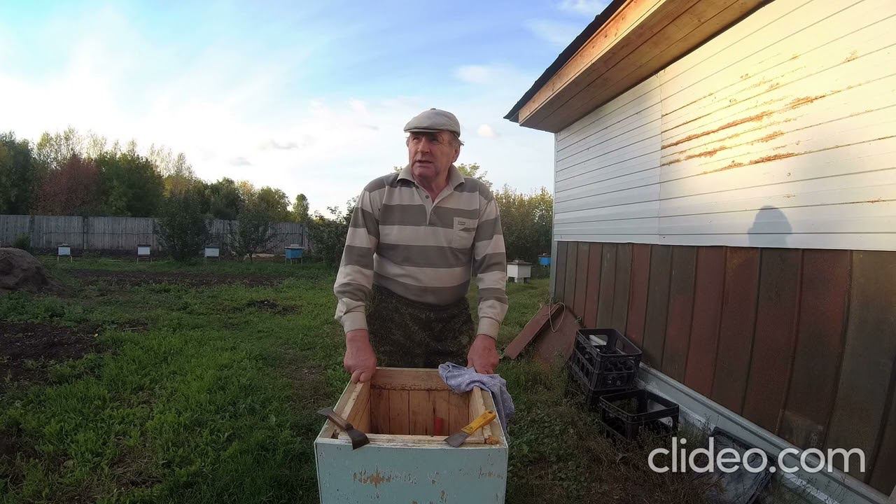 Возможна ли окраска улья с пчёлами? смотреть онлайн