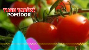 pomidor tush tabiri - Тушда Помидор курса - tushda pamidor korish