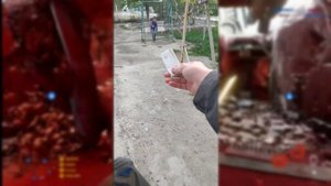 Агро-школьник Атакует!