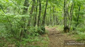 Пятигорск/гора машук/канатная Дарошка #Арёл