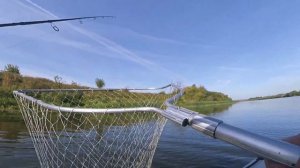 Рыбалка на Дону в Начале Осени | Ловля Щуки Воблерами
