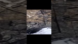 Красивый фотофон своими руками.