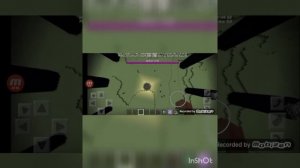 маинкрафт: как заспавнить дракона в Эндер мире?