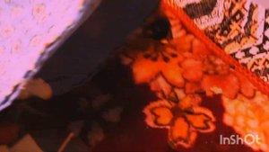 Какую клетку выбрать для морской свинки? Два поросёнкп