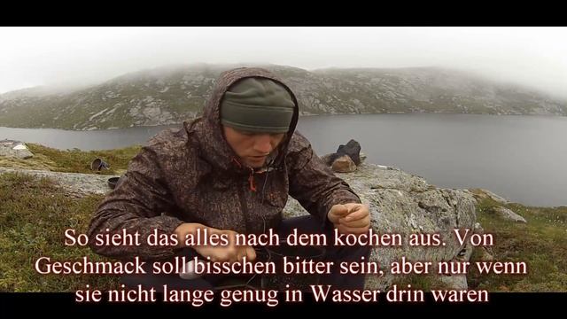 Олений мох в пищу смотреть онлайн