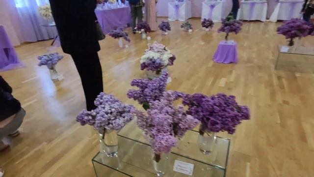 Сиреневый фестиваль смотреть онлайн