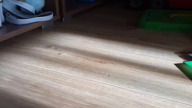 Канцелярия от "Лум Планет" смотреть онлайн