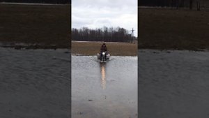 трицикл из мопеда альфа 50сс