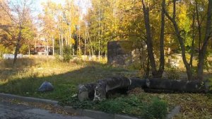 Военный Городок + Амбулатория Янино