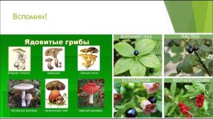 Презентация на тему "Туризм"