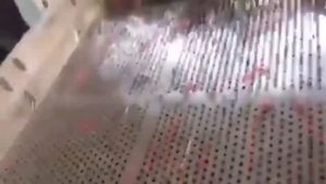 ВИБРОСИТО ДЛЯ ГРАНУЛЫ. ОБОРУДОВАНИЕ ДЛЯ БИЗНЕСА 2022. БИЗНЕС ИДЕИ 2022.