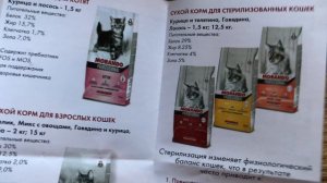 Котики пробуют новую консерву?