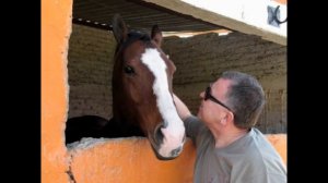 Lens_  Кратко о Мексике - 1