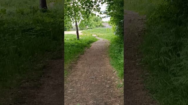 Я УКРАШУ СТИХИ ЗАГРУСТИВШИМИ НОТАМИ.