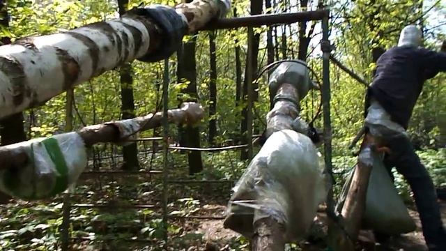 спортзал в лесу в гольяново смотреть онлайн