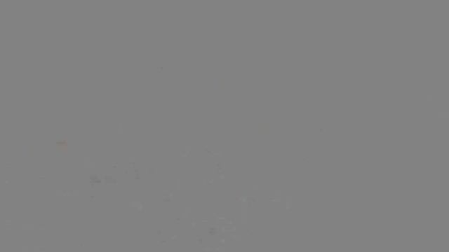 Печень ягненка с грибами и жареная картоха на крысином жиру смотреть онлайн