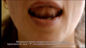 Логопедическая гимнастика. "Болтушка"