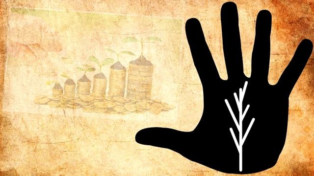 ДЕРЕВО на руках / хиромантия / Кладезь Хиромантии