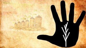 ДЕРЕВО на руках / хиромантия / Кладезь Хиромантии