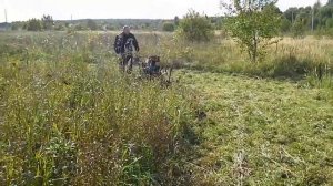Косилка терминатор в работе высокая трава.