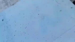 Действие спрея Апизоль