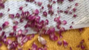 Сушим лепестки чайной розы.